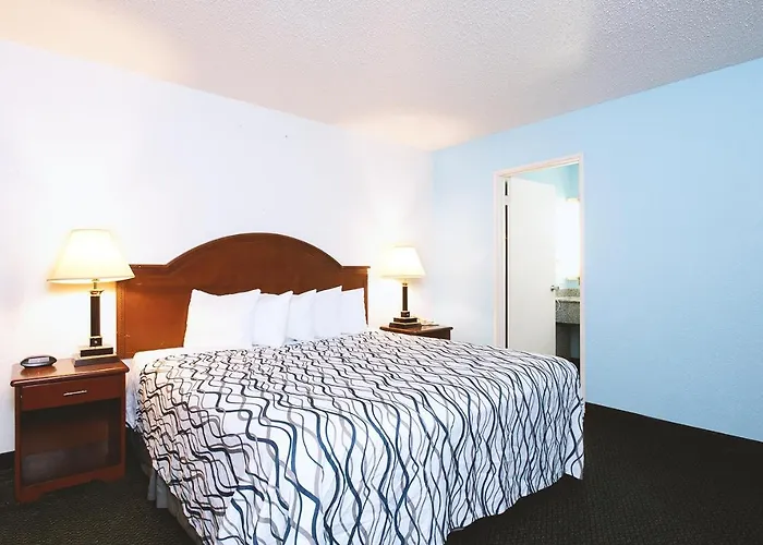 Pets Allowed Hotel Sky-Palace Inn & Suites Wichita East